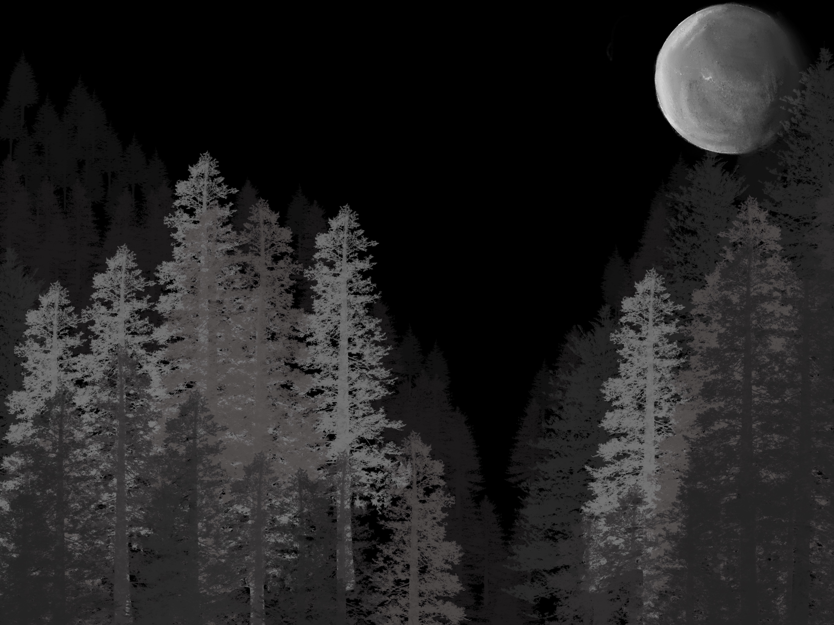 Moonlight Trees
